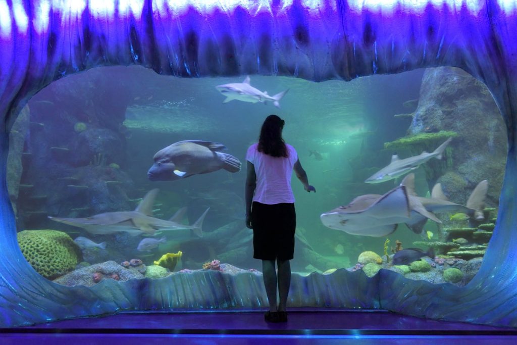 aquarium sydney australie