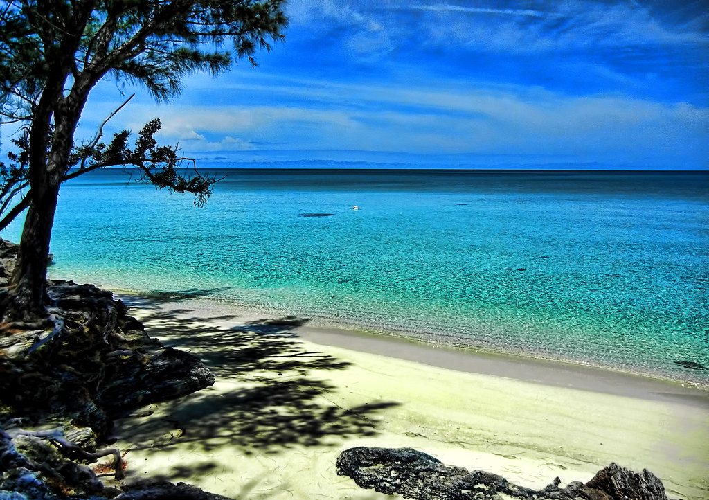 isola eleuthera bahamas