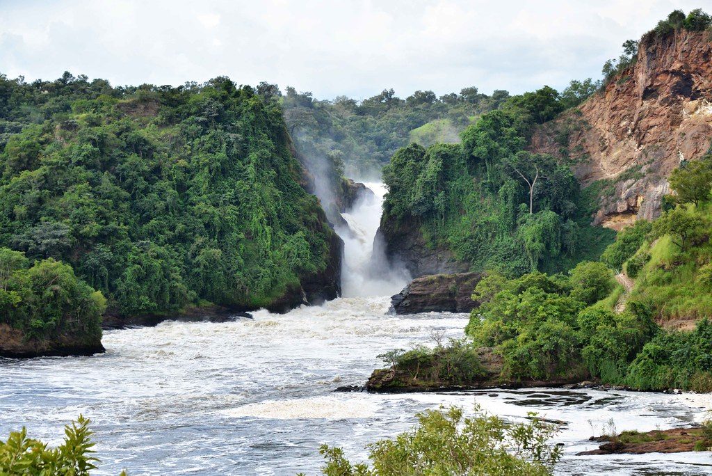 parc national de murchison falls ouganda