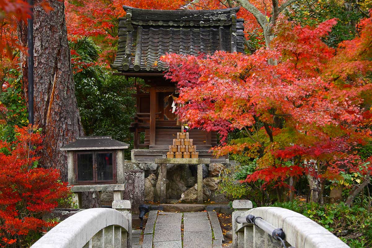 Japon en automne